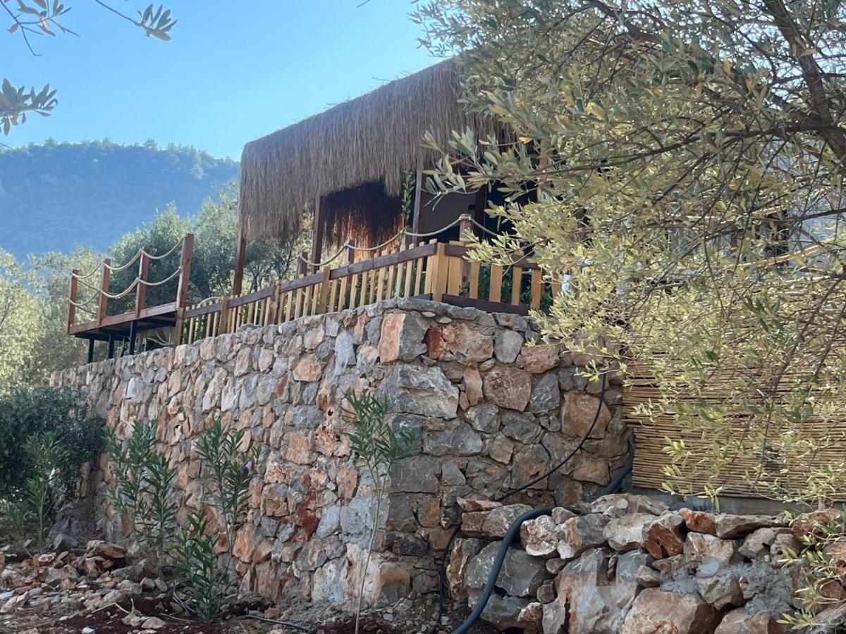 Lovin Goecek Tiny House Butterfly Villa Gokceovacik Luaran gambar