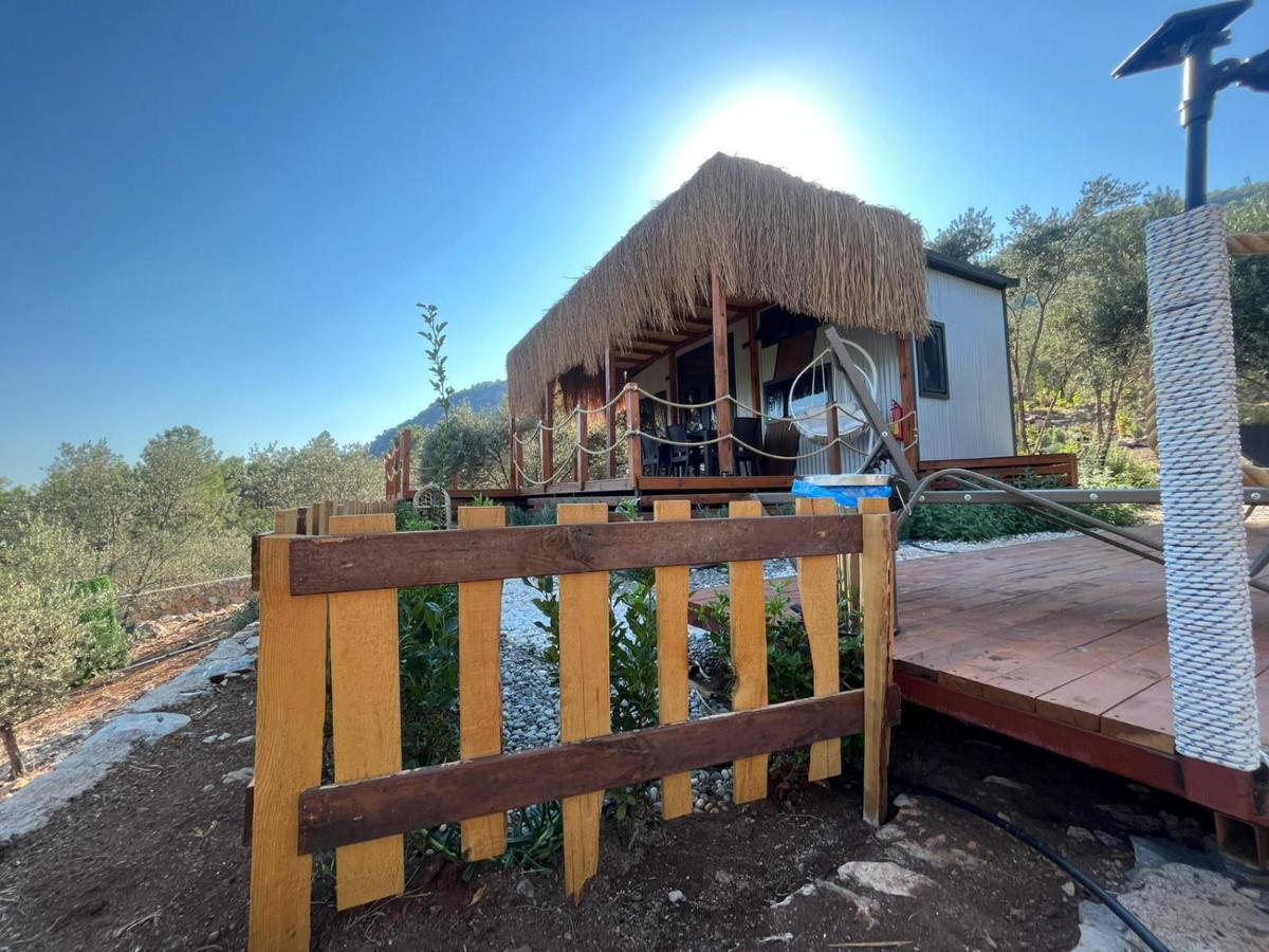 Lovin Goecek Tiny House Butterfly Villa Gokceovacik Luaran gambar